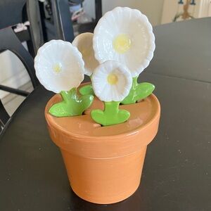 Cost Plus World Market Ceramic Pot with Brown and White Finish